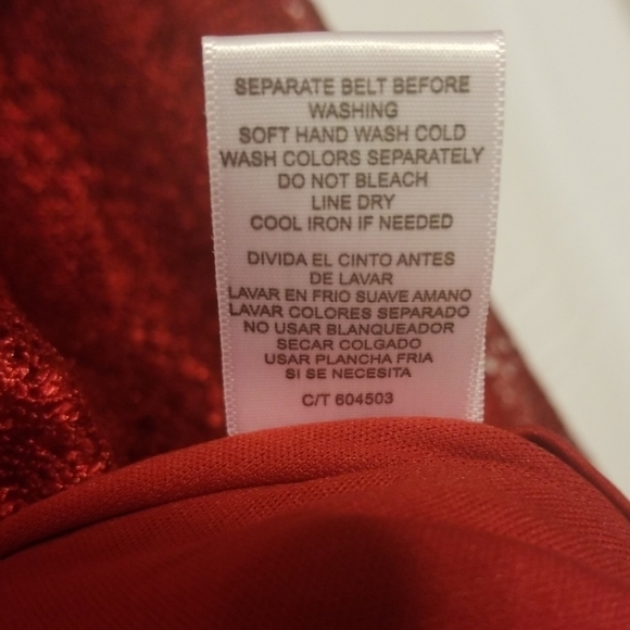 DANNY Nicole Fit and Flare Red Lace Dress - Picture 8 of 17